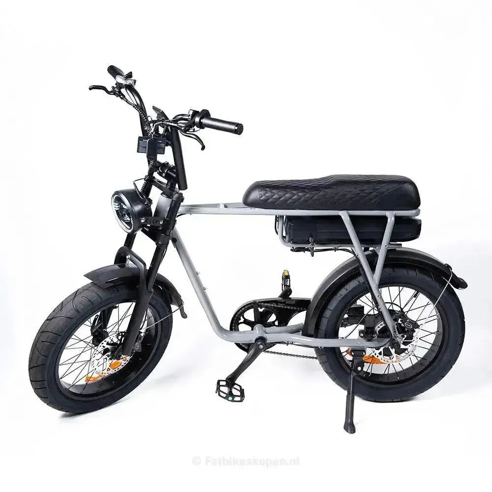 EB2 Fatbike Silber + Alarm + Fußstützen