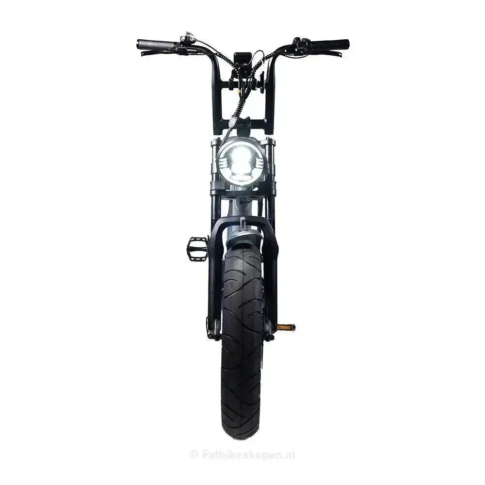EB2 Fatbike Silber + Alarm + Fußstützen