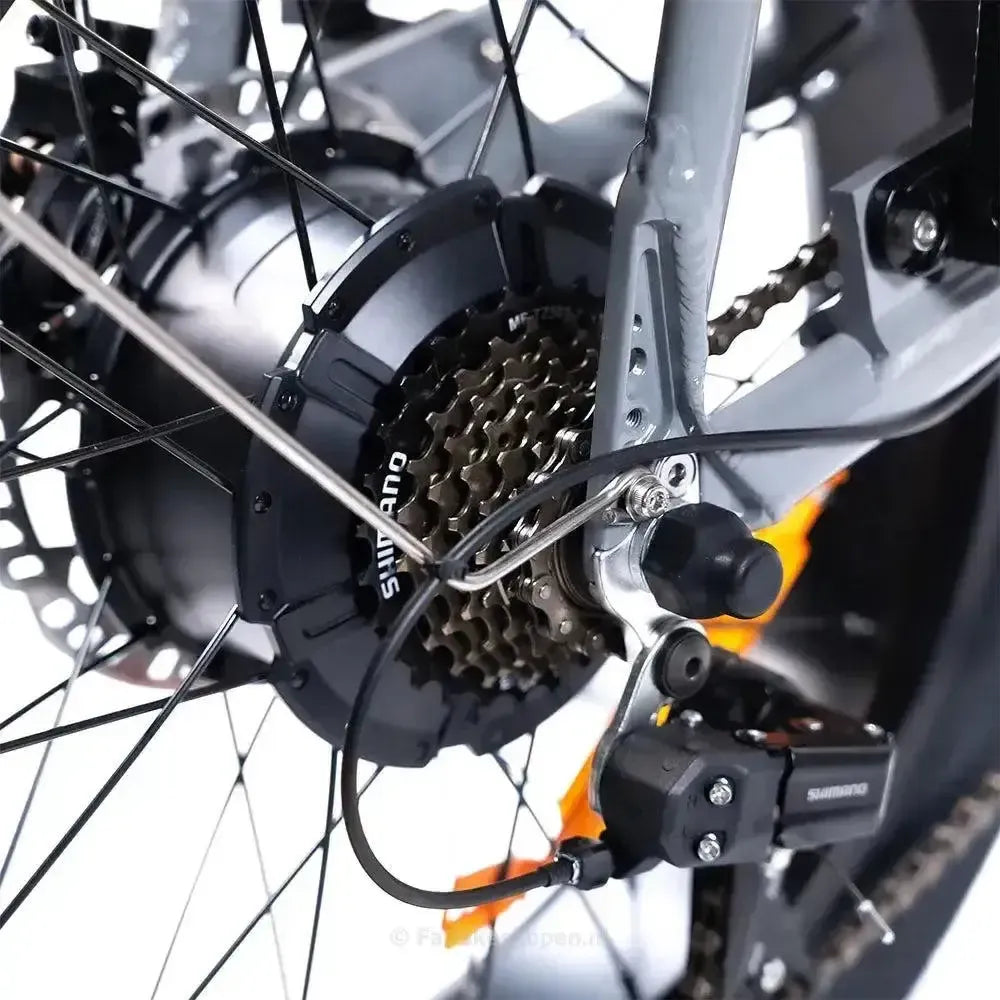 EB2 Fatbike Silber + Alarm + Fußstützen