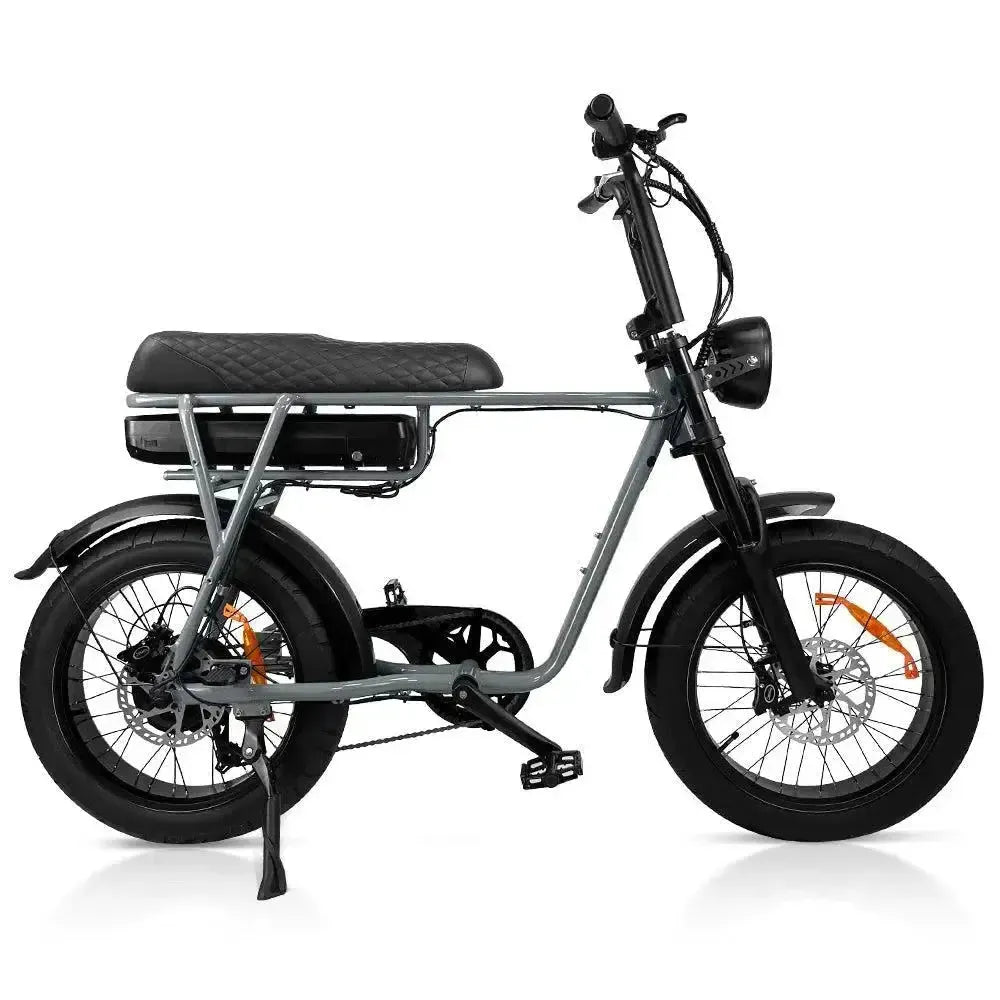 EB2 Fatbike Silber + Alarm + Fußstützen