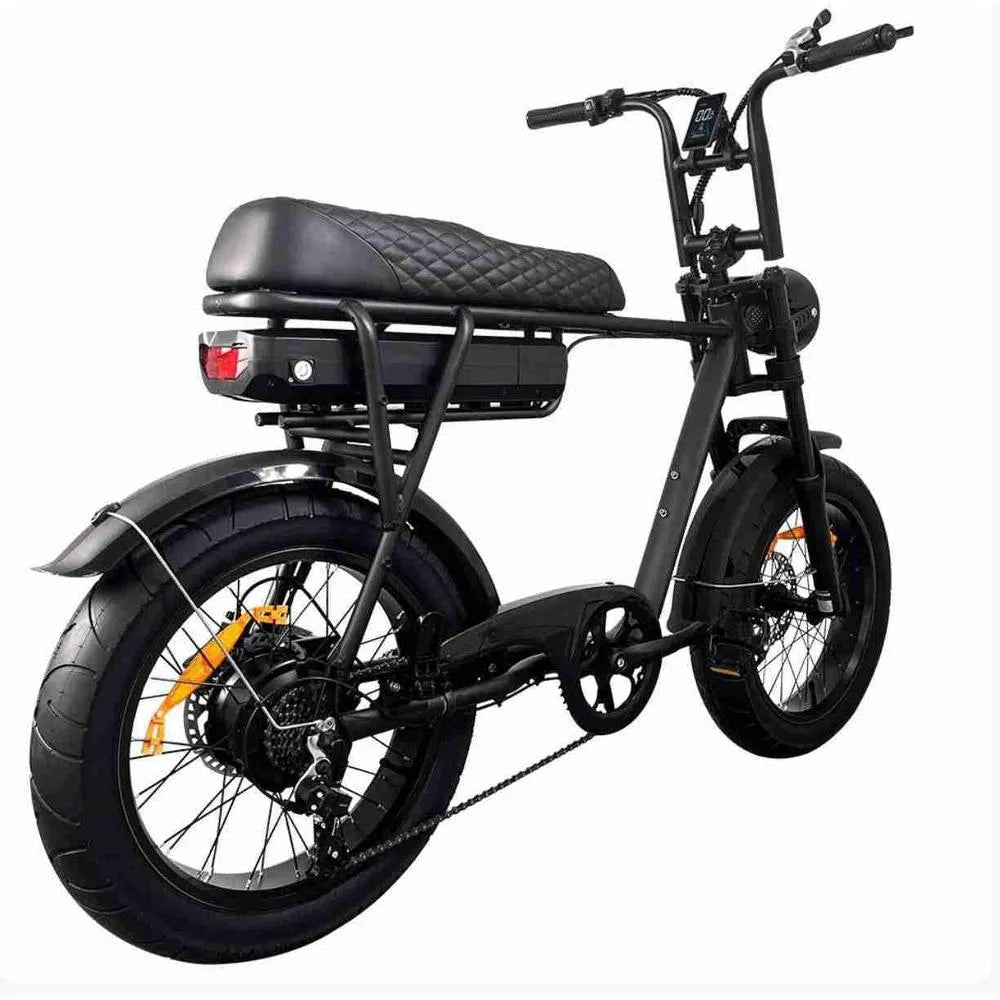 EB2 Fatbike Schwarz + Alarmsystem + Kostenlose Montage