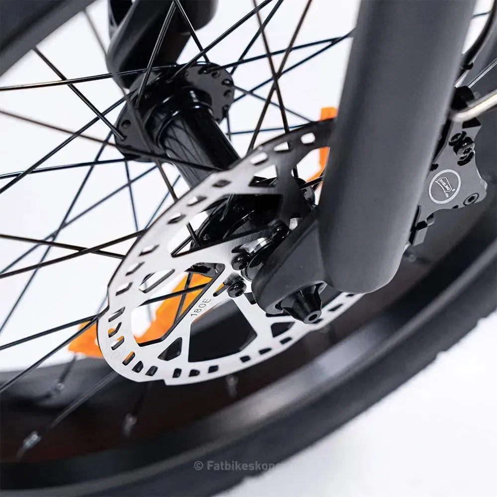 EB8 - Fatbike - Braun