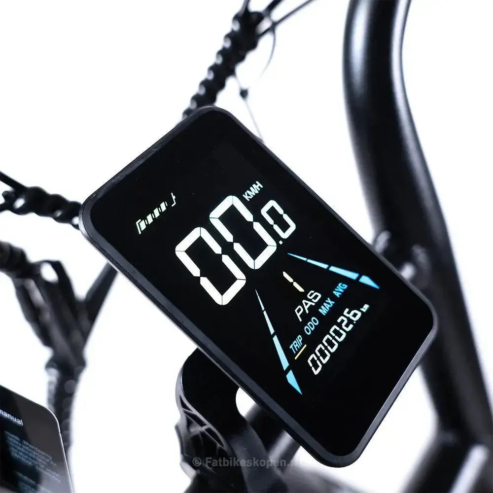 EB8 - Fatbike - Braun