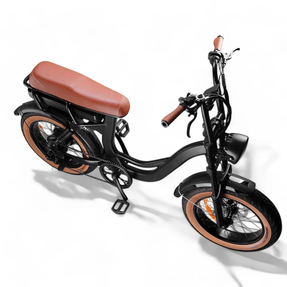 EB8 - Fatbike - Braun