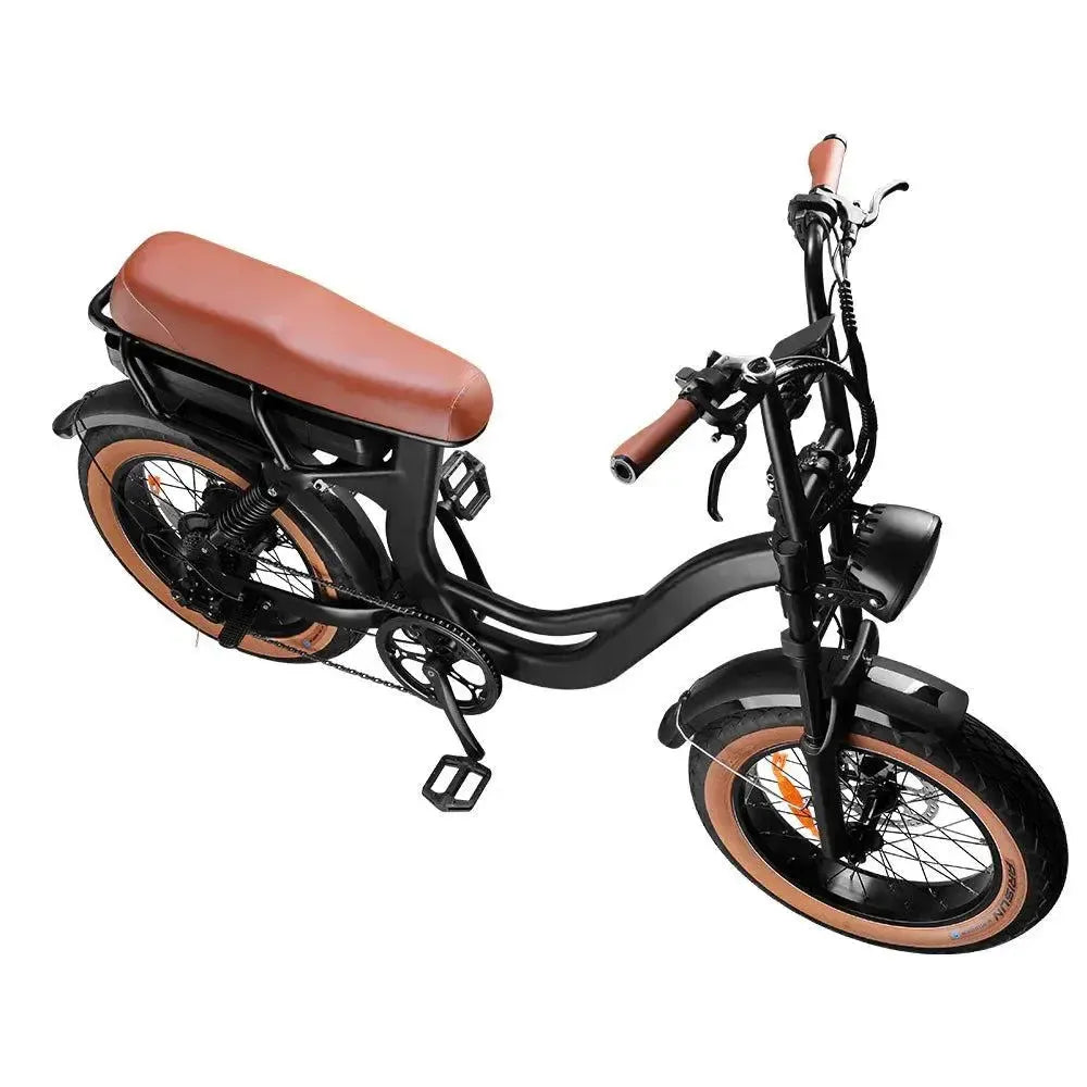 EB8 - Fatbike - Braun