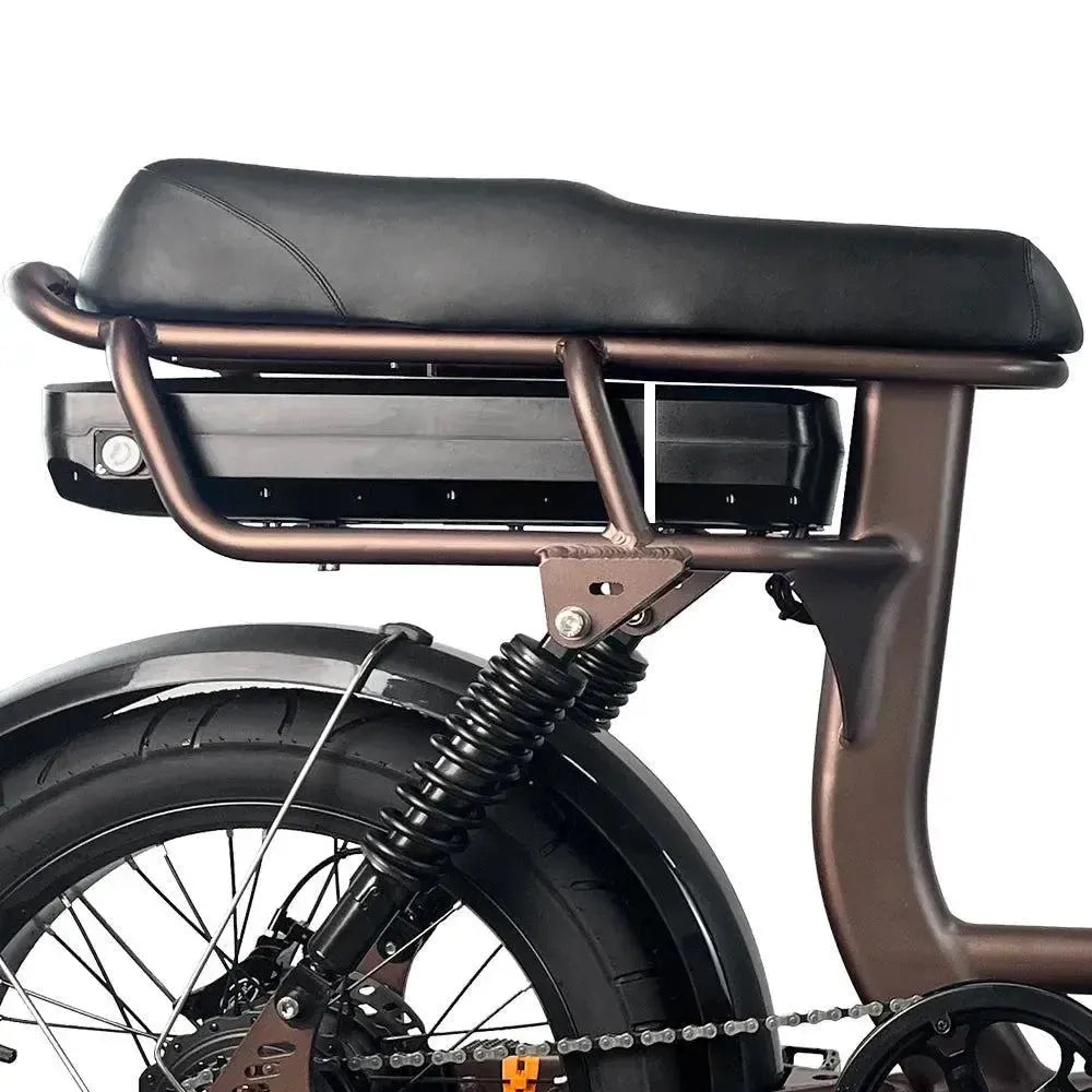 EB8 - Fatbike - Kaffee