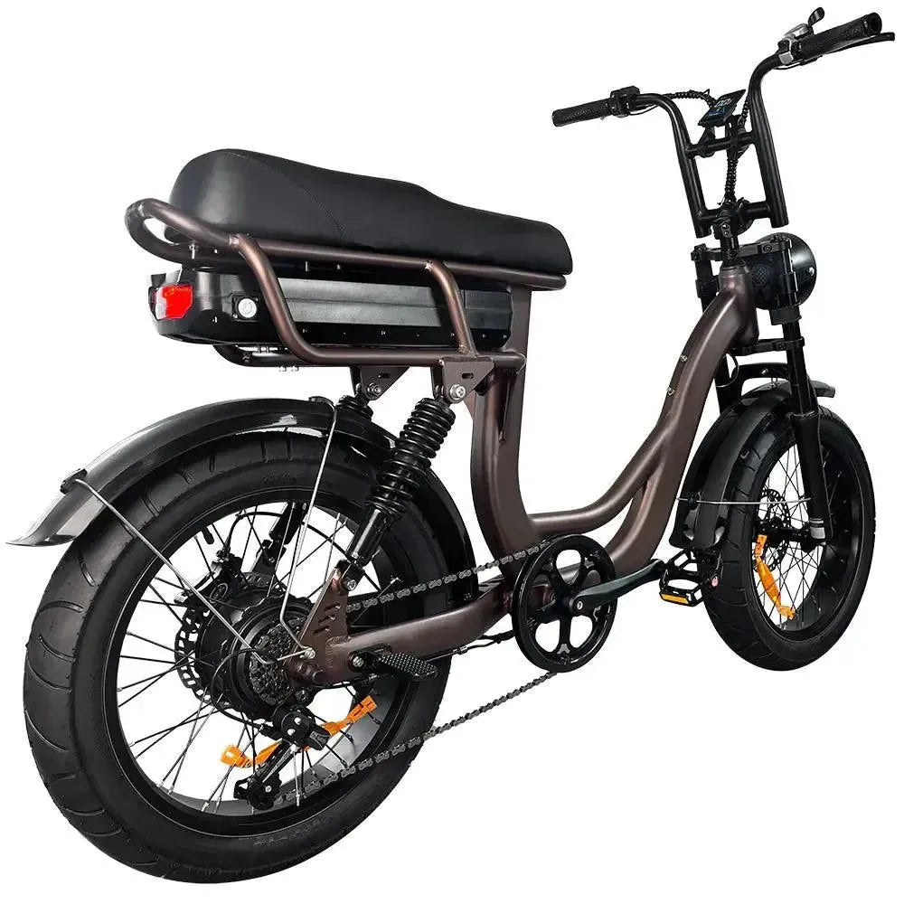 EB8 - Fatbike - Kaffee