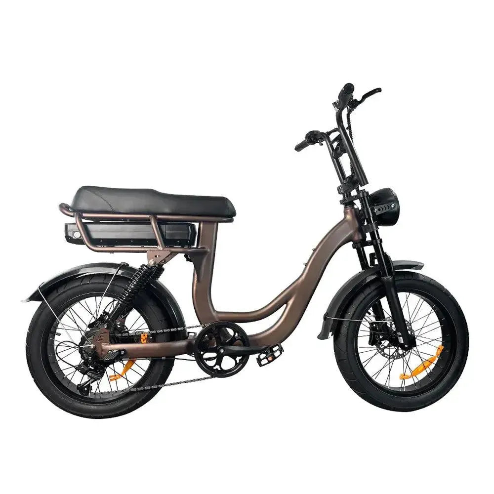 EB8 - Fatbike - Kaffee