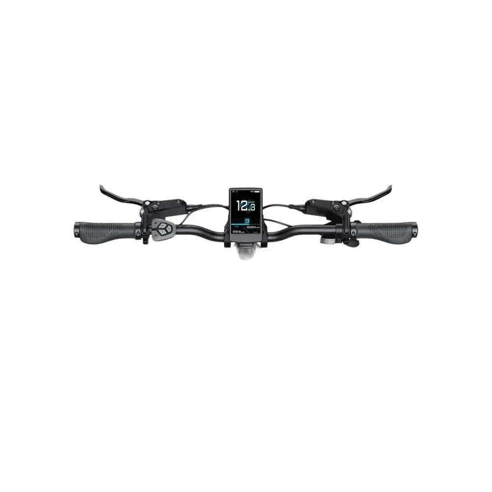 ENGWE L20 3.0 Pro - Champagner