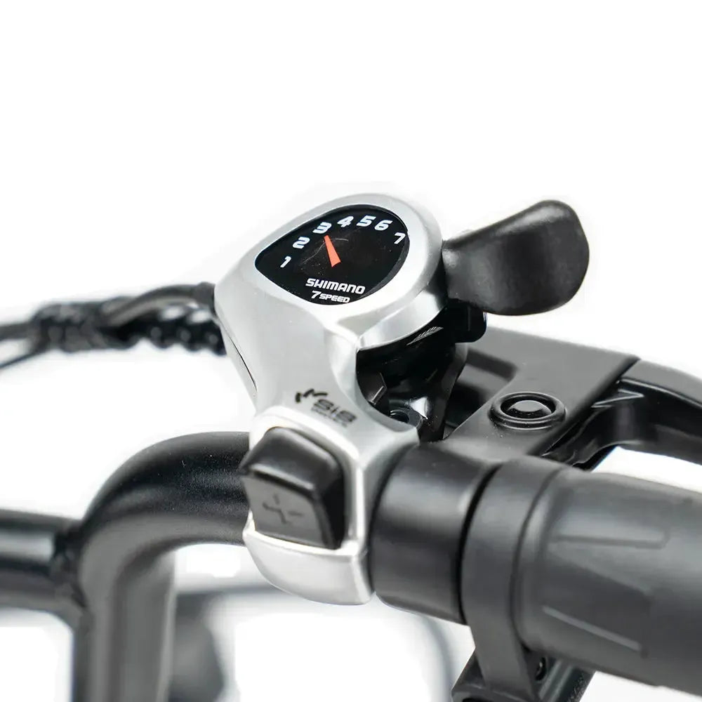 ENGWE L20 Boost - Rot