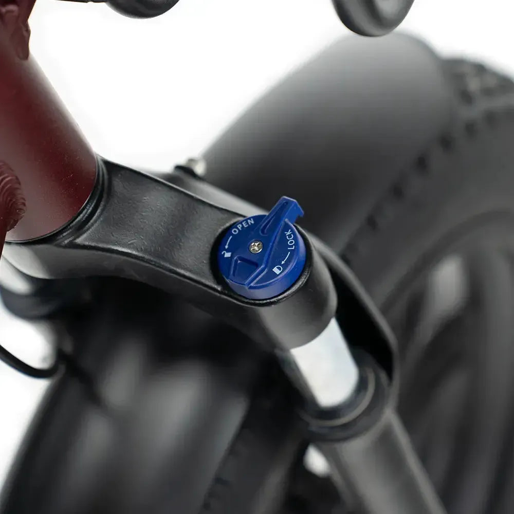 ENGWE L20 Boost - Rot