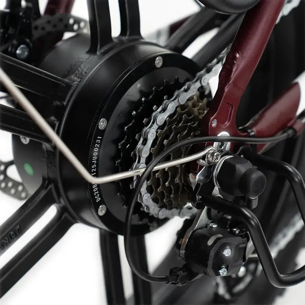 ENGWE L20 Boost - Rot