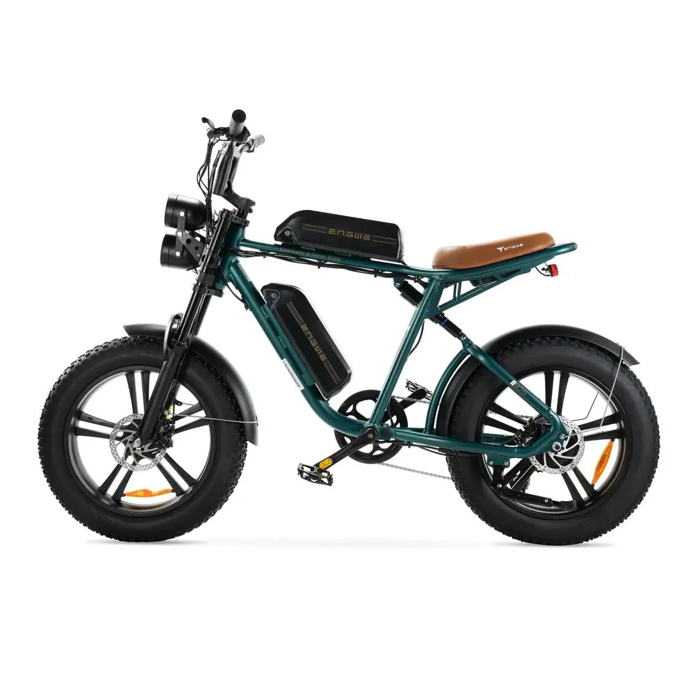 ENGWE M20 - Fatbike - Doppelte Batterie - Grün