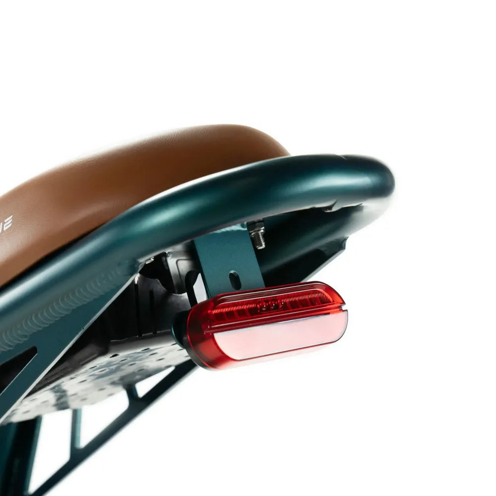 ENGWE M20 - Fatbike - Doppelte Batterie - Grün