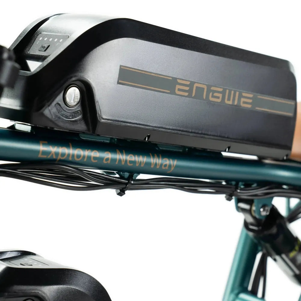 ENGWE M20 - Fatbike - Doppelte Batterie - Grün