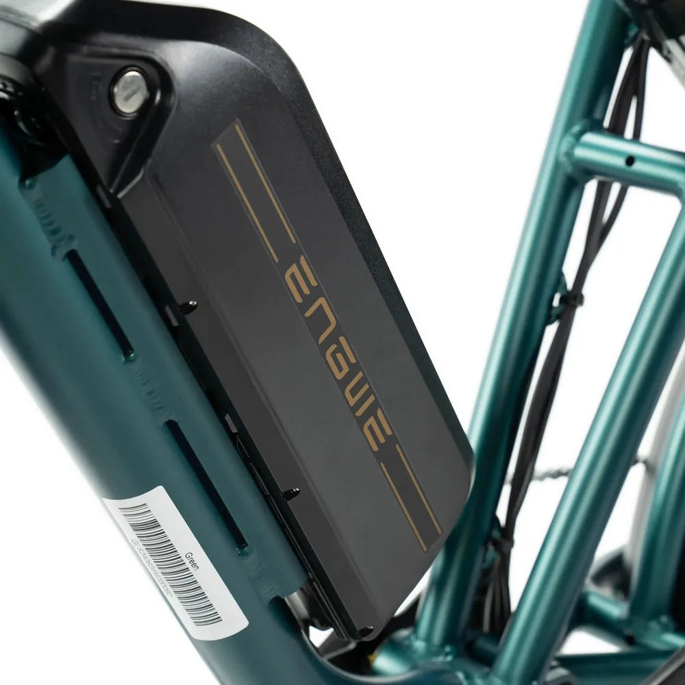 ENGWE M20 - Fatbike - Doppelte Batterie - Grün