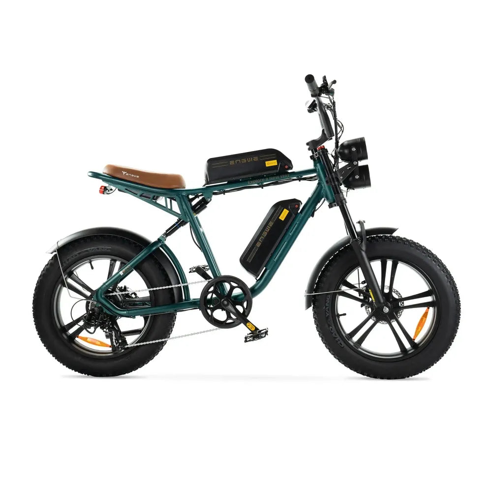 ENGWE M20 - Fatbike - Doppelte Batterie - Grün