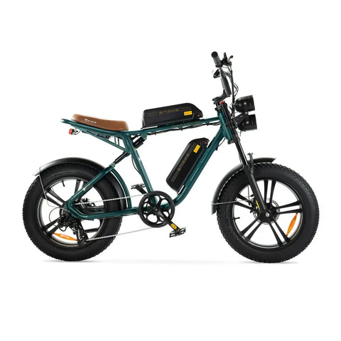ENGWE M20 - Fatbike - Doppelte Batterie - Grün
