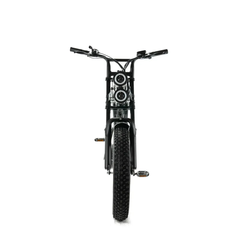 ENGWE M20 - Fatbike - Doppelte Batterie - Schwarz