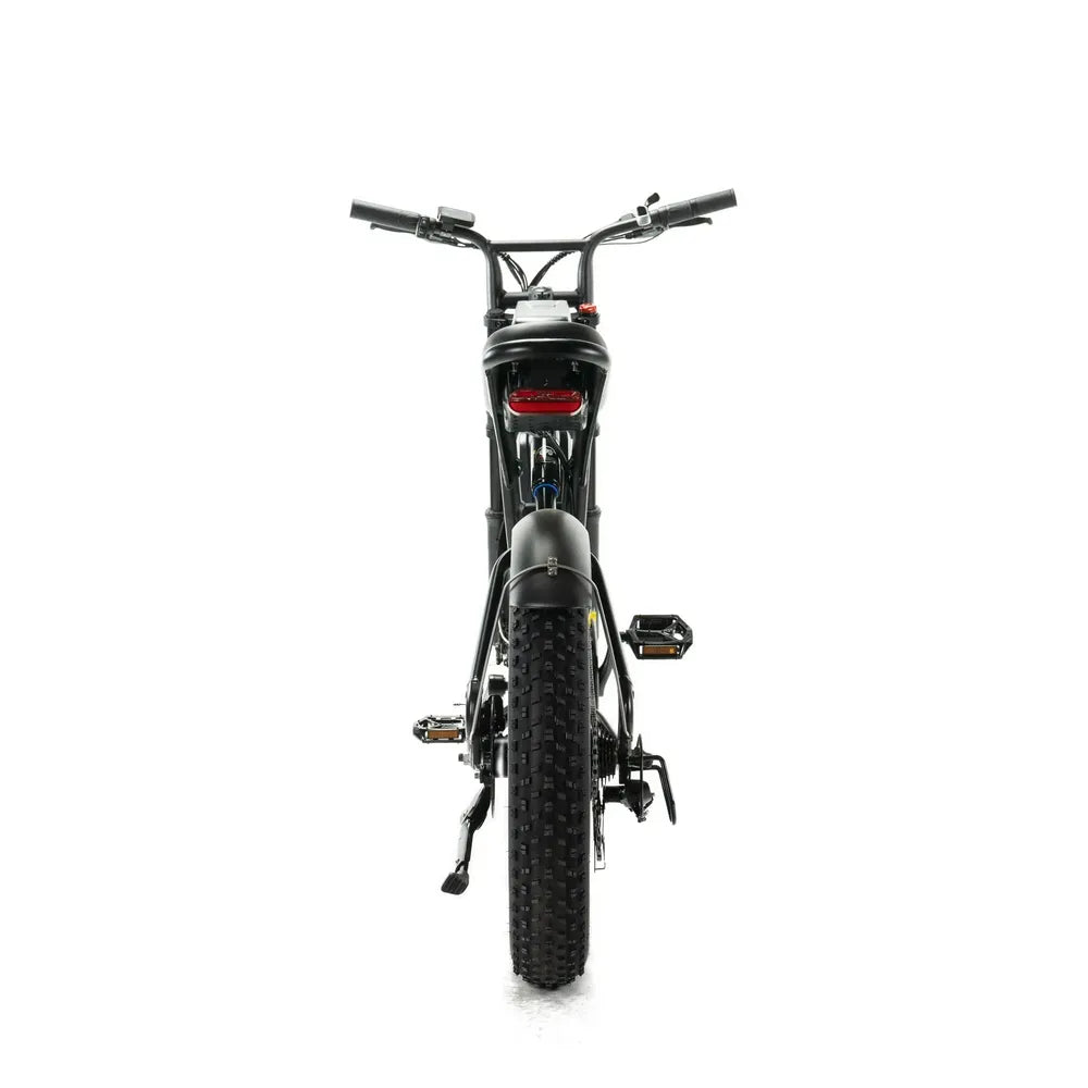 ENGWE M20 - Fatbike - Doppelte Batterie - Schwarz