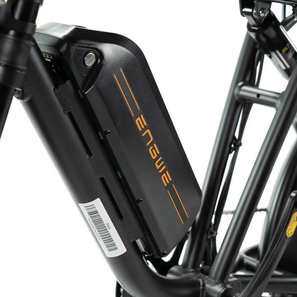 ENGWE M20 - Fatbike - Doppelte Batterie - Schwarz