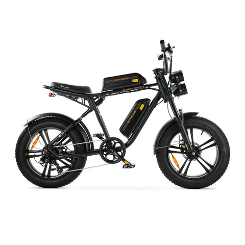 ENGWE M20 - Fatbike - Doppelte Batterie - Schwarz