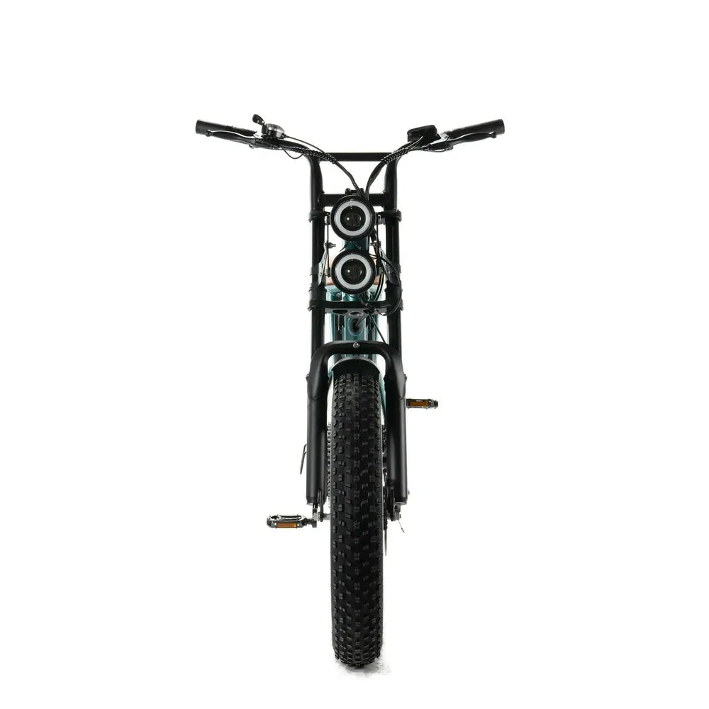 ENGWE M20 - Fatbike - Grün + Alarmsystem + Handyhalter