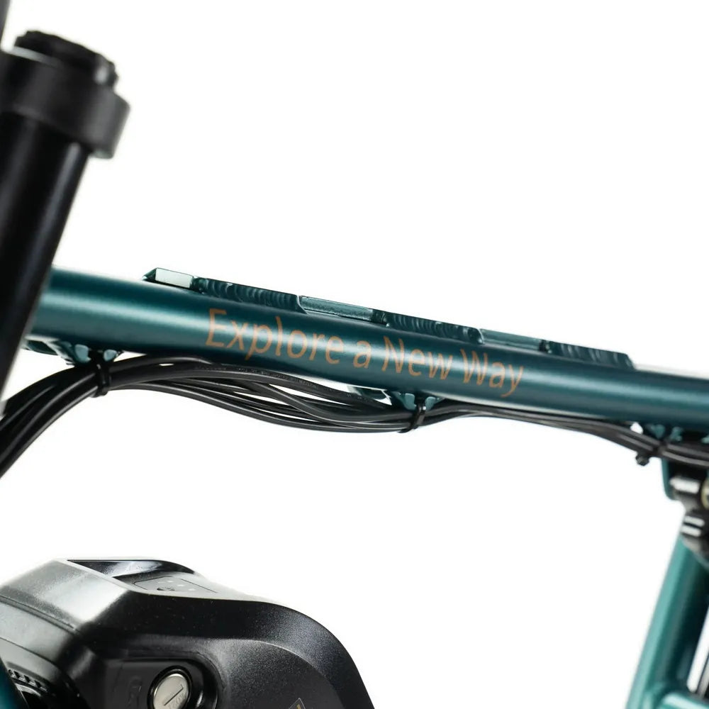 ENGWE M20 - Fatbike - Grün + Alarmsystem + Handyhalter