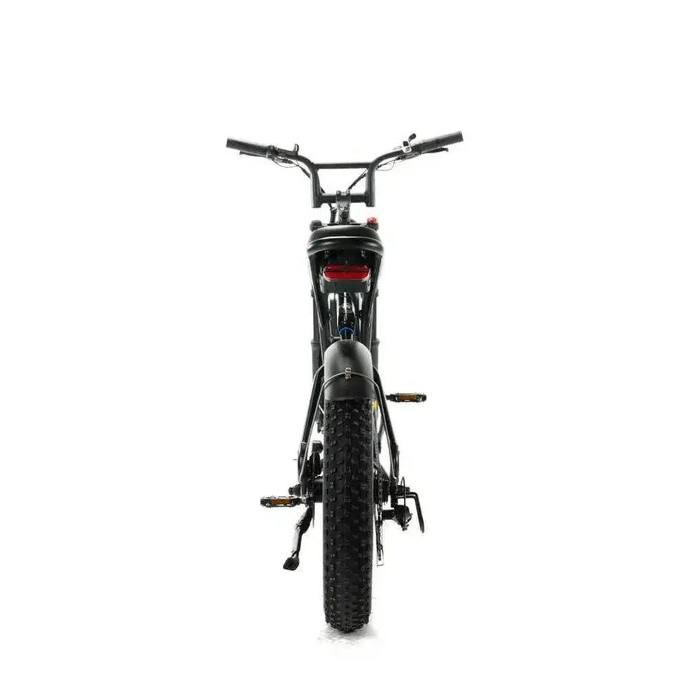 ENGWE M20 - Fatbike - Schwarz + Alarmsystem + Handyhalter