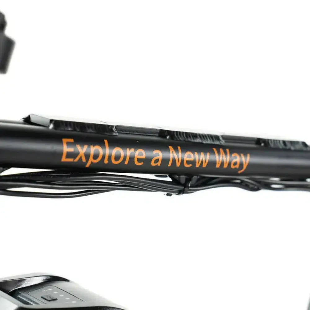 ENGWE M20 - Fatbike - Schwarz + Alarmsystem + Handyhalter