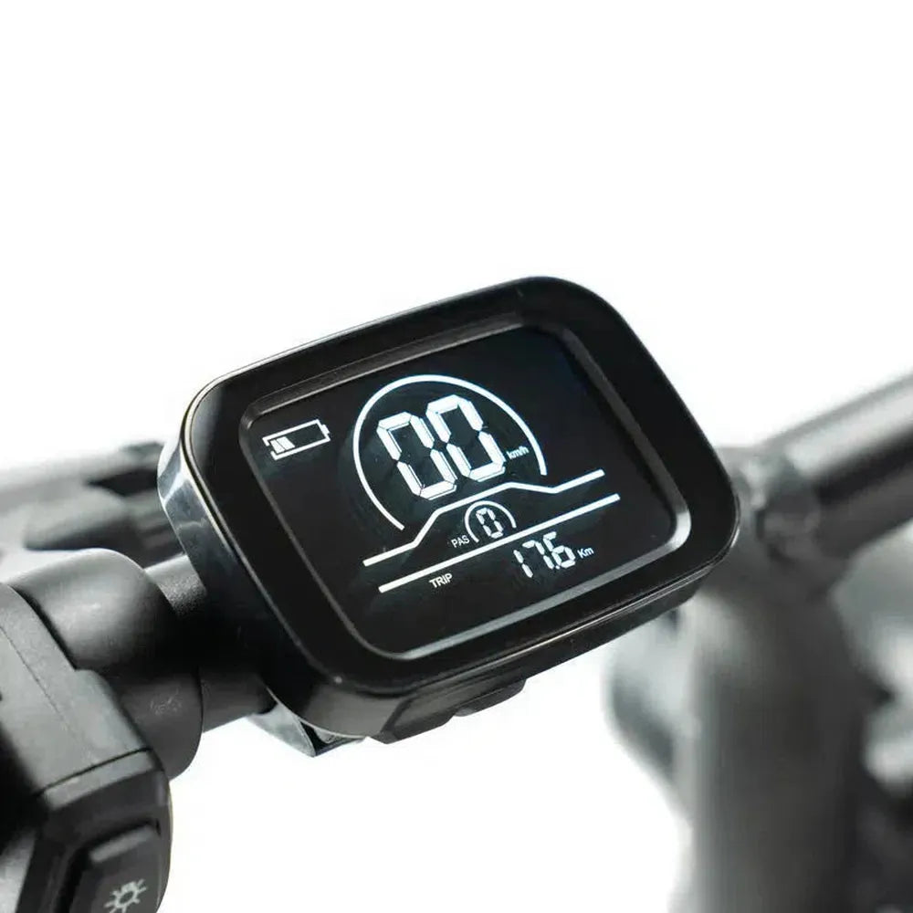 ENGWE M20 - Fatbike - Schwarz + Alarmsystem + Handyhalter