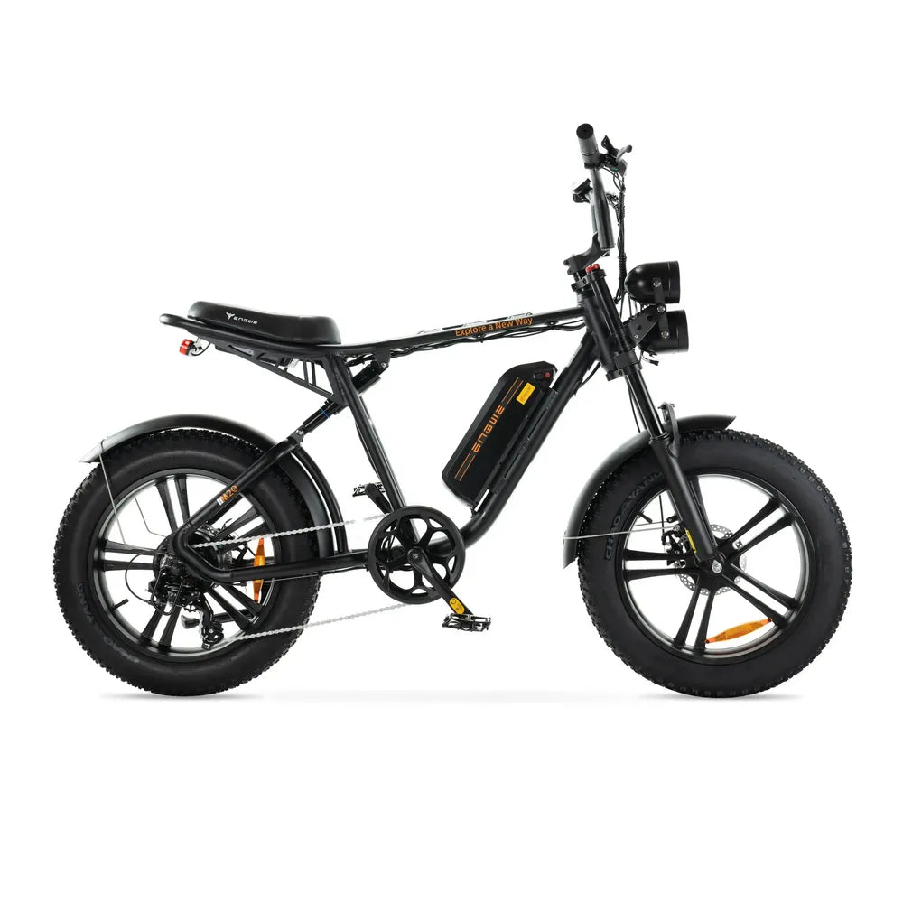 ENGWE M20 - Fatbike - Schwarz + Alarmsystem + Handyhalter