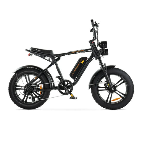 ENGWE M20 - Fatbike - Schwarz + Alarmsystem + Handyhalter