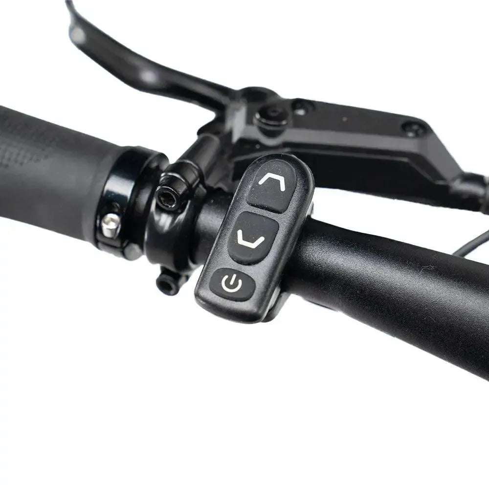 ENGWE Mapfour N1 Pro - Grau