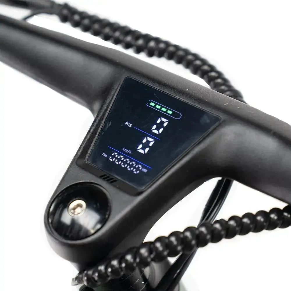 ENGWE Mapfour N1 Pro - Grau