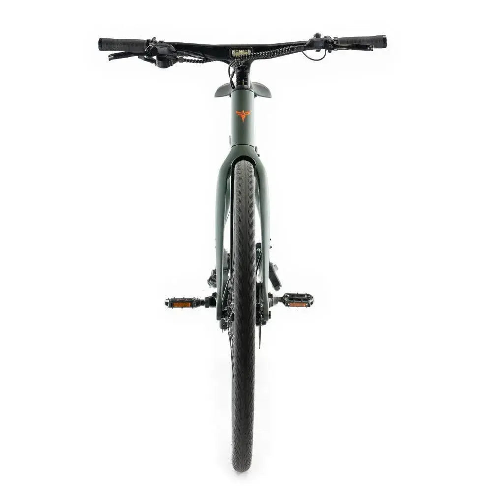 ENGWE Mapfour N1 Pro - Grün
