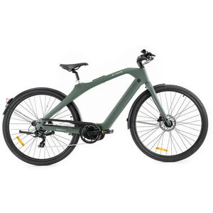 ENGWE Mapfour N1 Pro - Grün