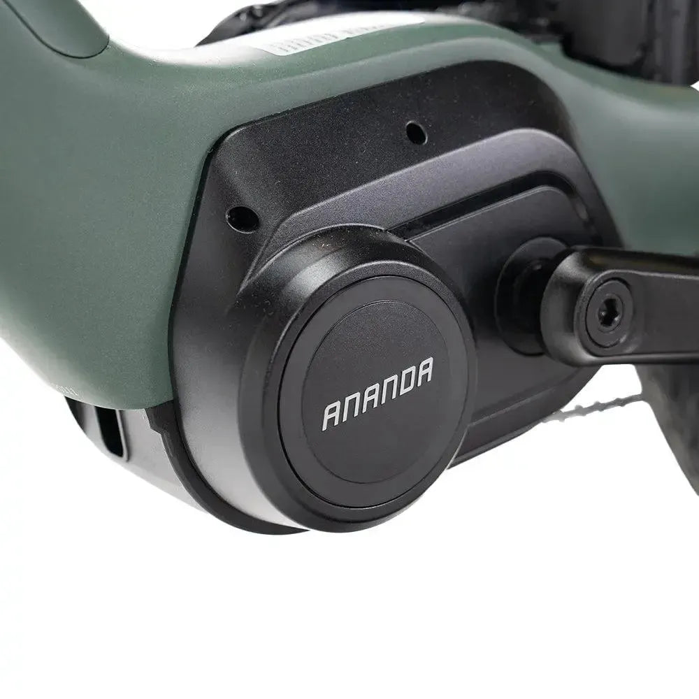 ENGWE Mapfour N1 Pro - Grün