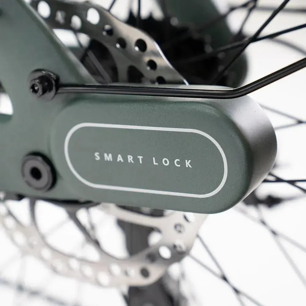 ENGWE Mapfour N1 Pro - Grün