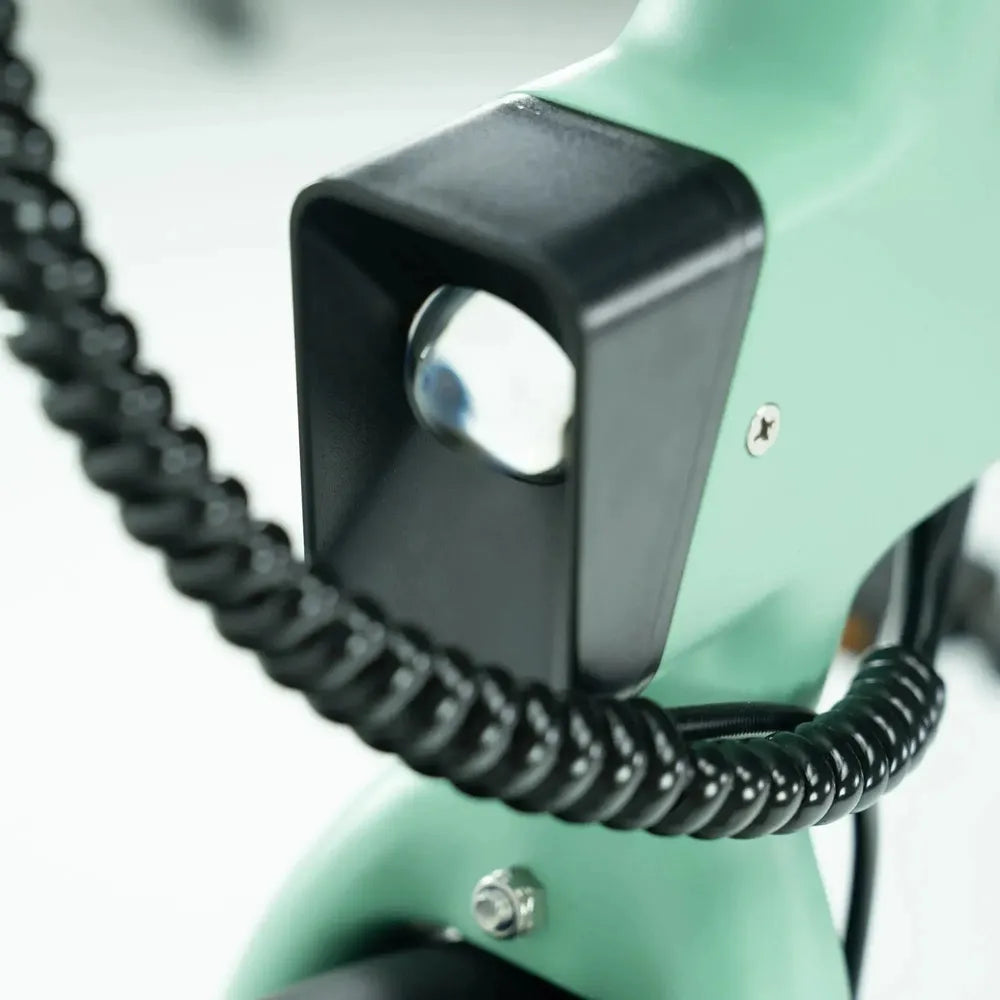 ENGWE P20 - Elektrisches Klapprad - Grün