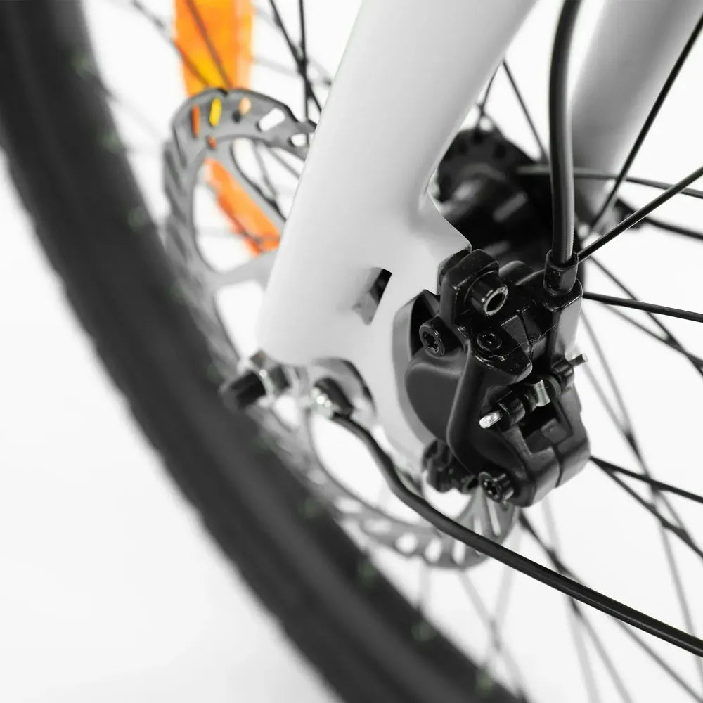 ENGWE P20 - Elektrisches Klapprad - Schwarz