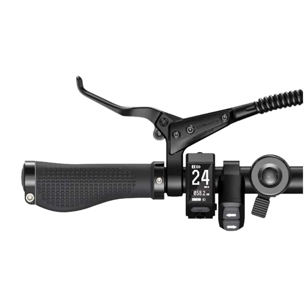 ENGWE P20 - Elektrisches Klapprad - Schwarz