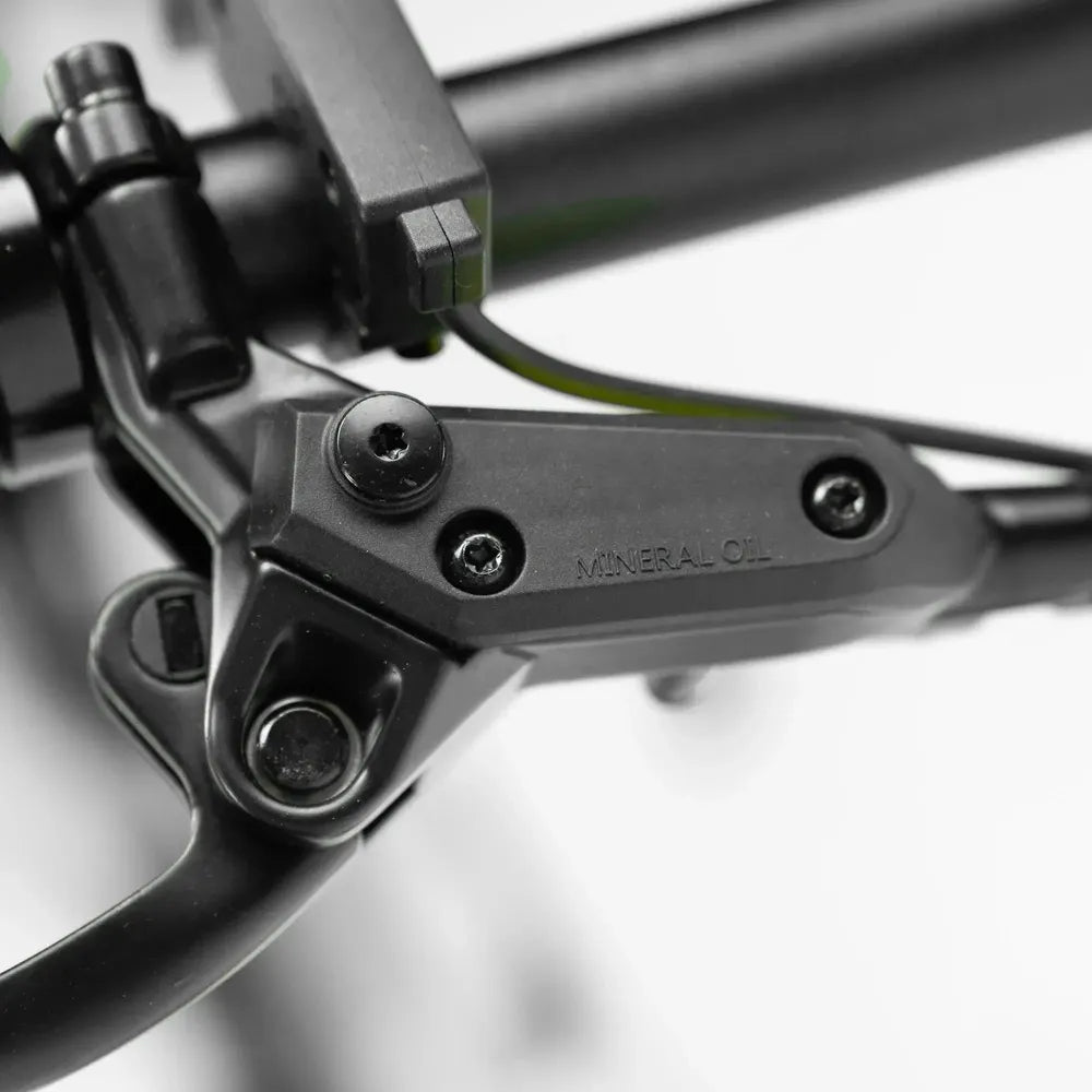 ENGWE P20 - Elektrisches Klapprad - Schwarz