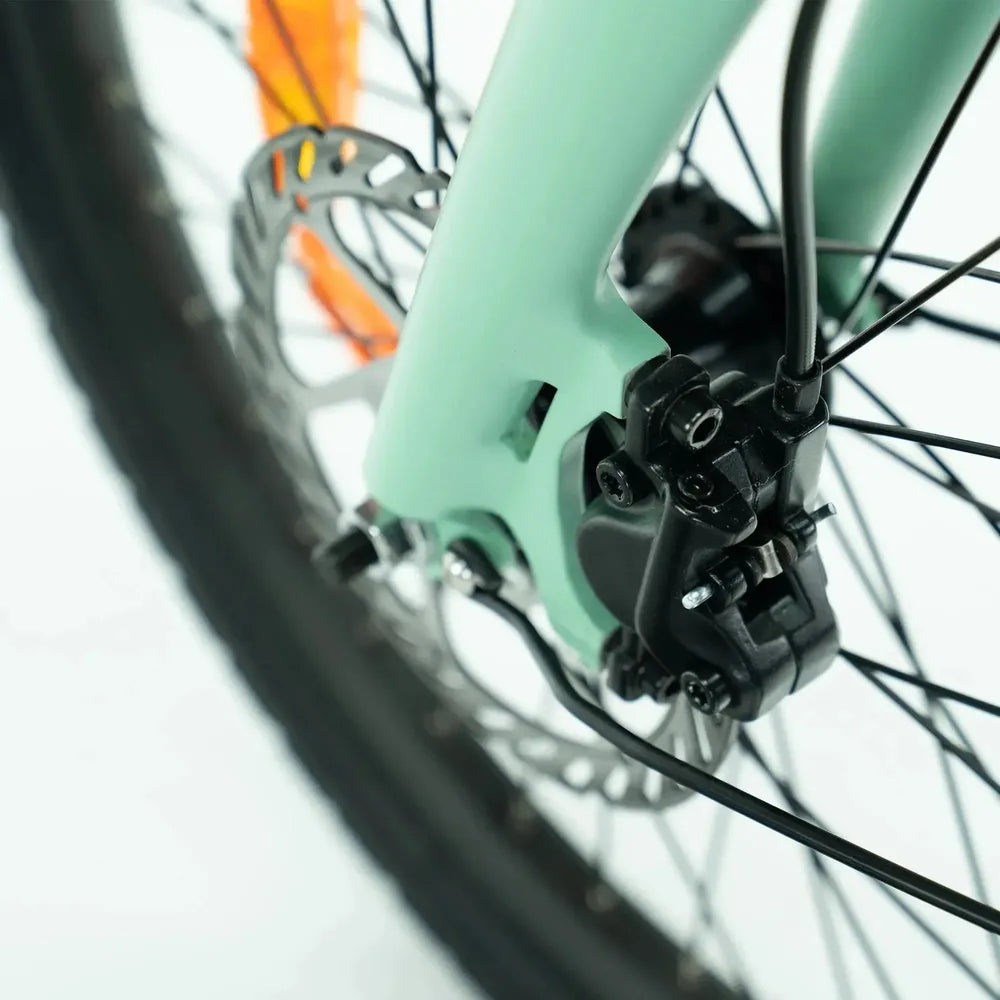 ENGWE P20 - Elektrisches Klapprad - Grün