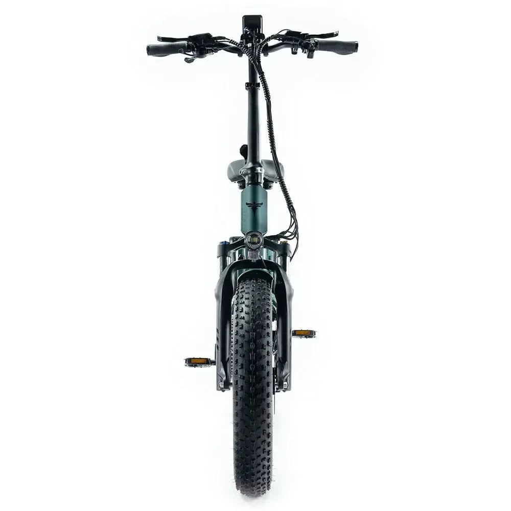 Engwe Engine Pro 2.0 - Elektrisches Klapprad - Grün