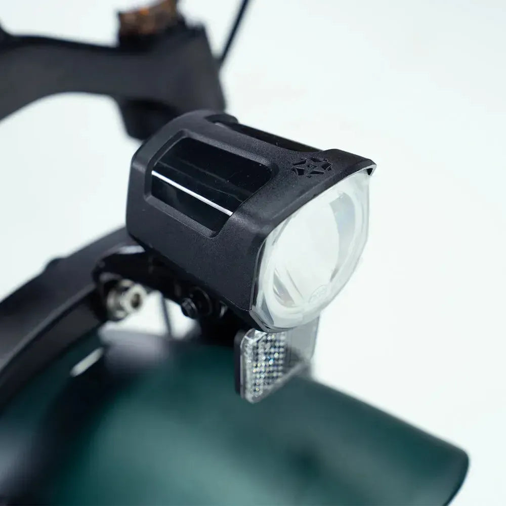 Engwe Engine Pro 2.0 - Elektrisches Klapprad - Grün