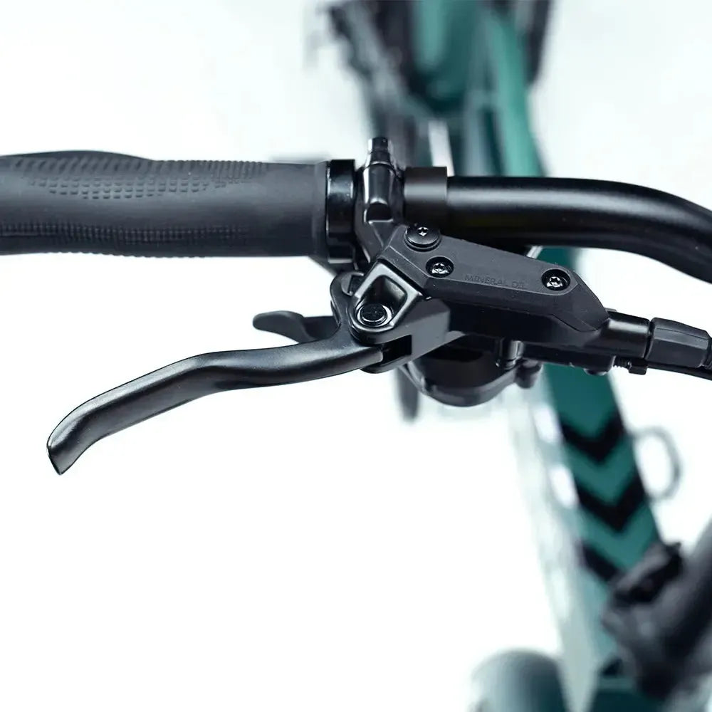 Engwe Engine Pro 2.0 - Elektrisches Klapprad - Grün