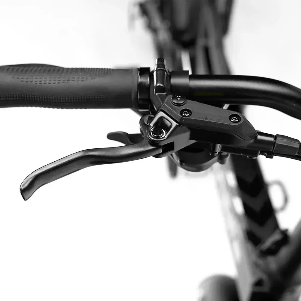 Engwe Engine Pro 2.0 - Elektrisches Klapprad - Schwarz