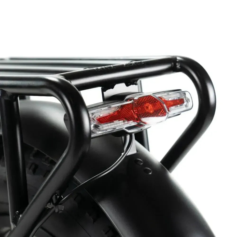 Engwe Engine X - Elektrisches Klapprad - Weiß