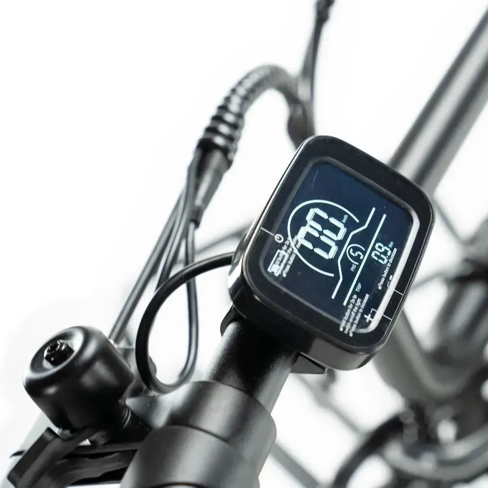 Engwe L20 - Fatbike - Grün